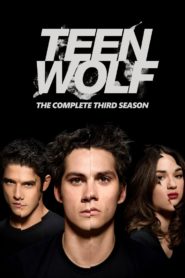 Волчонок 3 сезон смотреть онлайн